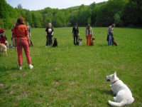 /album/fotogaleria/vzdelavanie033-jpg/